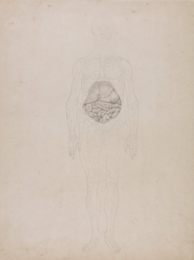 A Comparative Anatomical Exposition of the Structure of the Human Body with that of a Tiger and a Cow by George Stubbs
